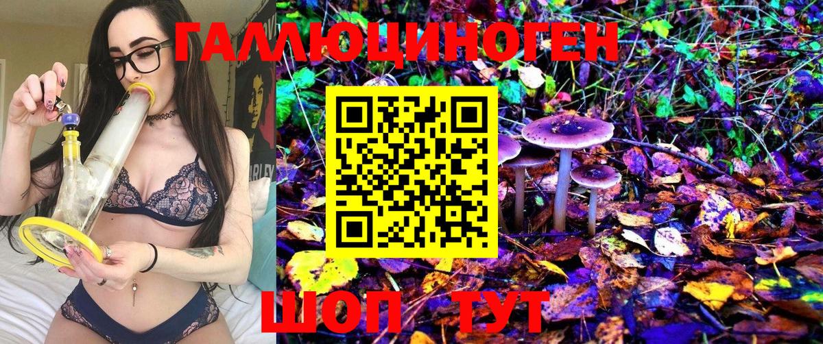 Галлюциногенные грибы Magic Shrooms Армавир