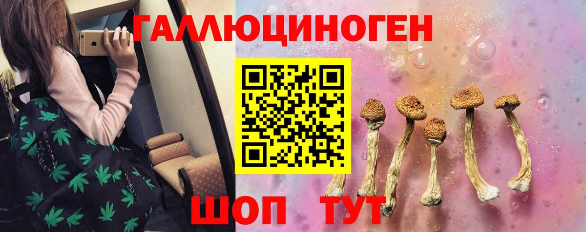 Армавир  Псилоцибиновые грибы мицелий  Вход с VPN 